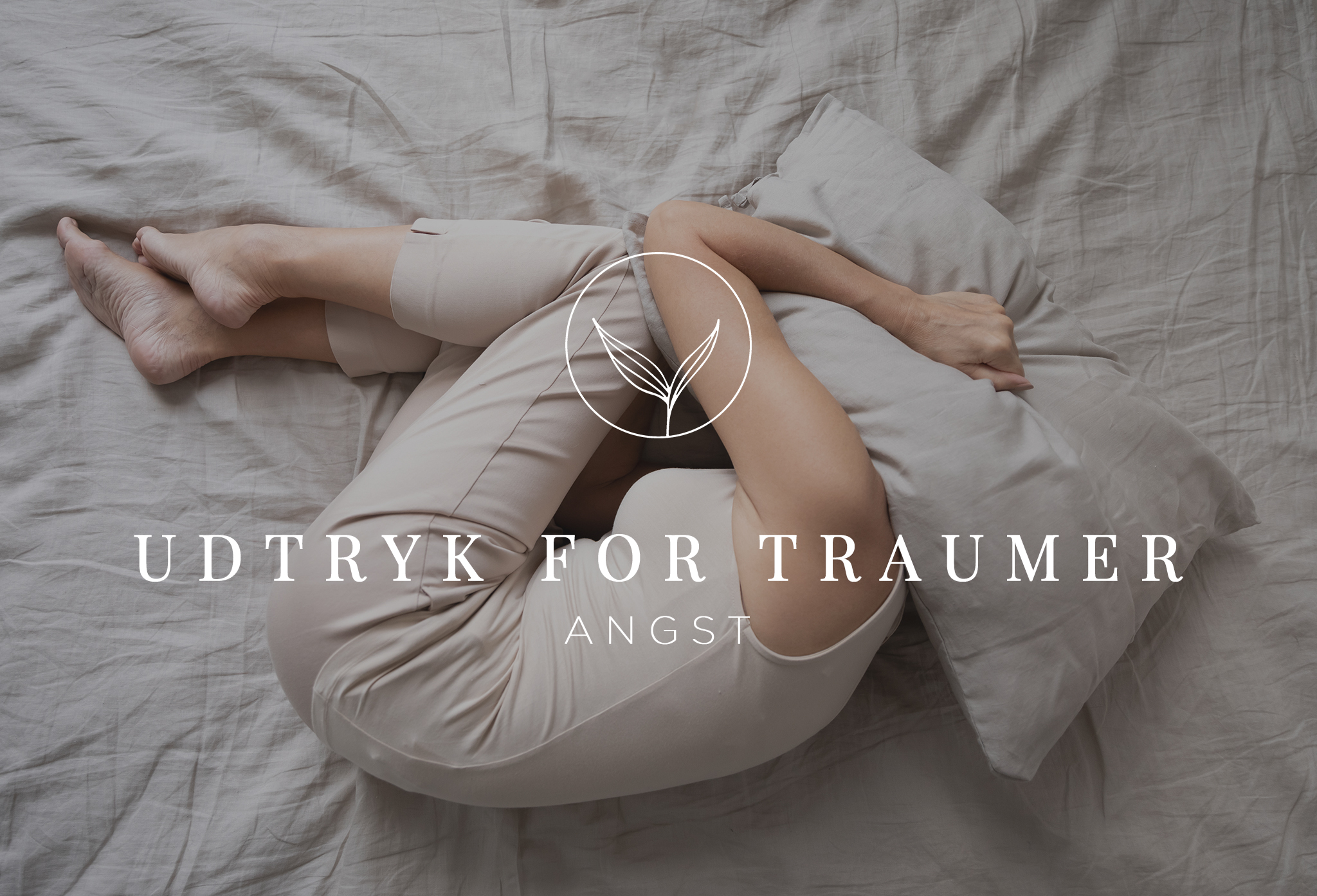 UDTRYK-FOR-TRAUMER-angst-2