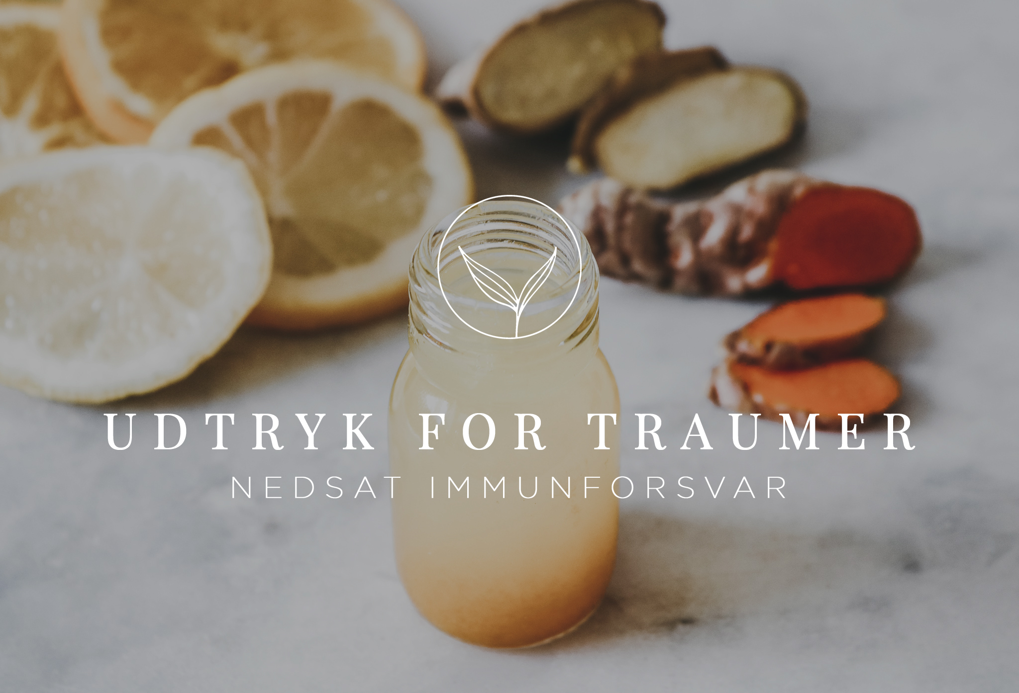 UDTRYK-FOR-TRAUMER