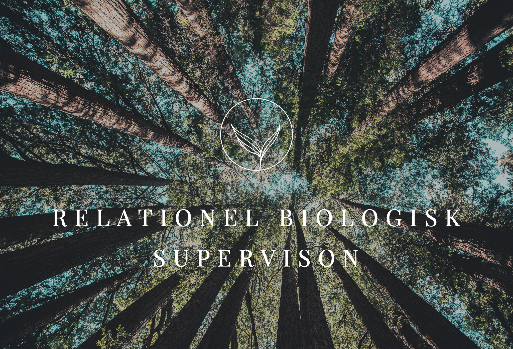 RELATIONEL-BIOLOGISK-SUPERVISON-CEINTRA--