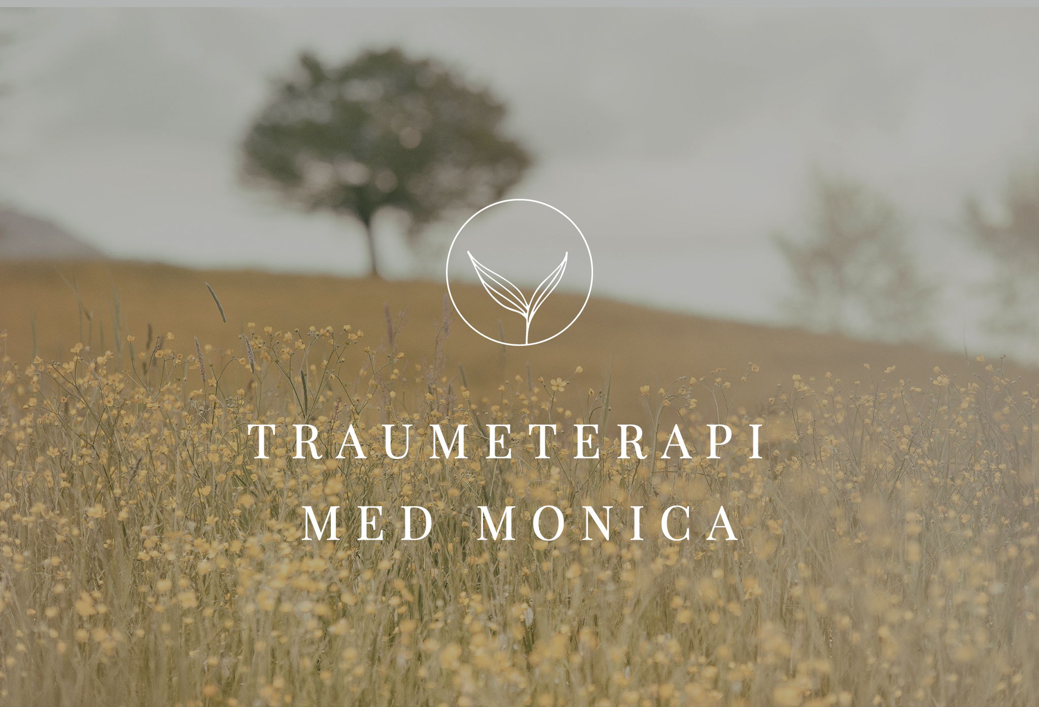 TRAUMETERAPI-MED-MONICA-