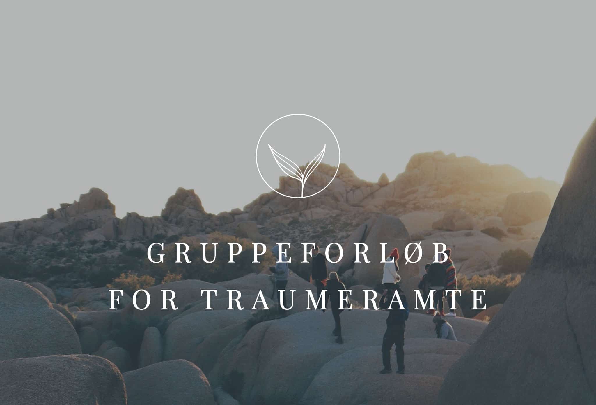 GRUPPEFORLØB-FOR-TRAUMERAMTE-CEINTRA--