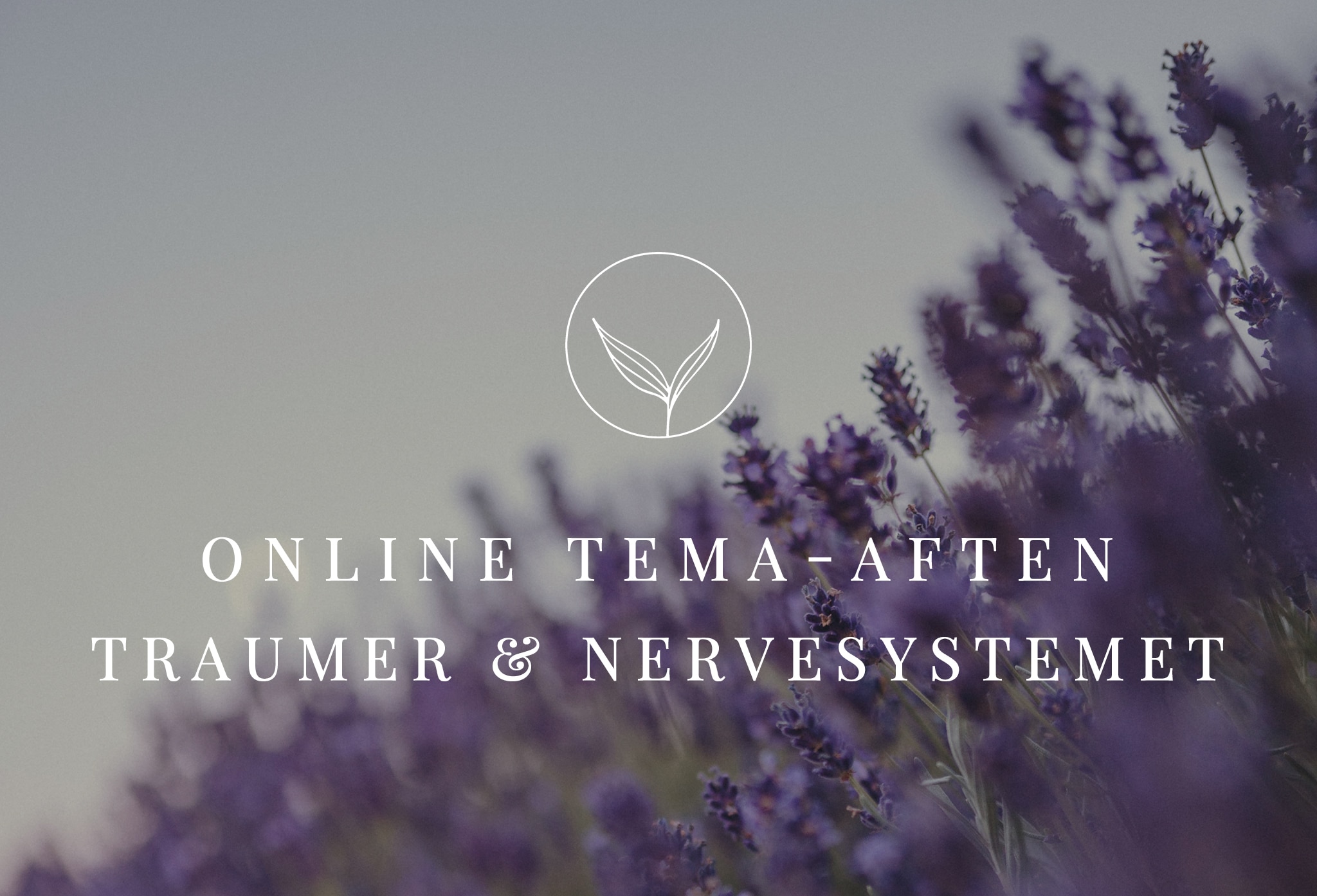 ONLINE-TEMA-AFTENER-TRAUMER-NERVESYSTEMET-
