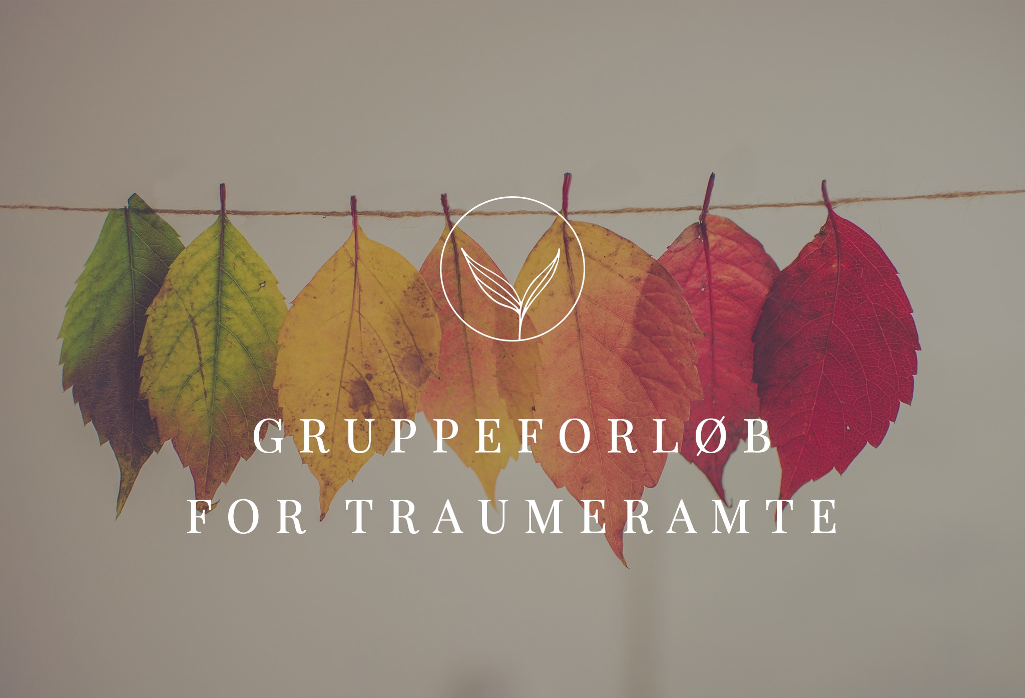 GRUPPEFORLØB-FOR-TRAUMERAMTE-CEINTRA