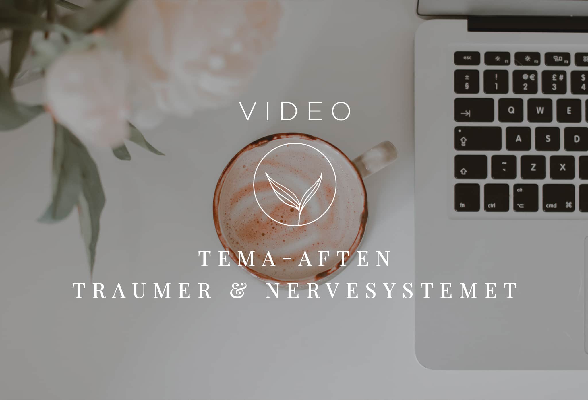 VIDEO-TEMAAFTEN-TRAUMER-NERVESYSTEMET