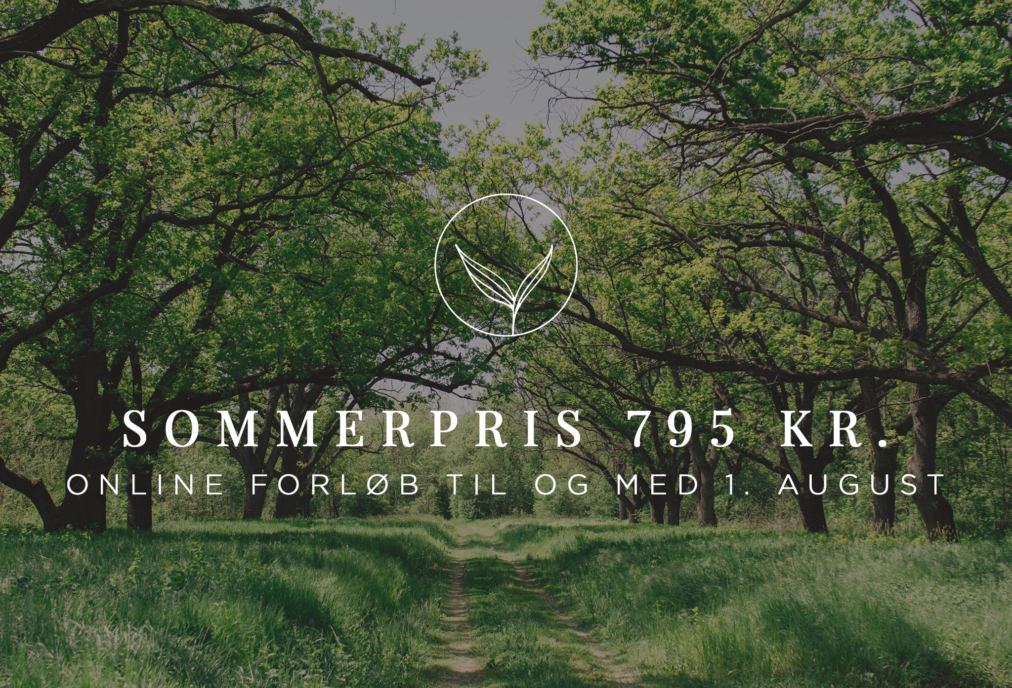 SOMMERPRIS-ONLINEFORLØB