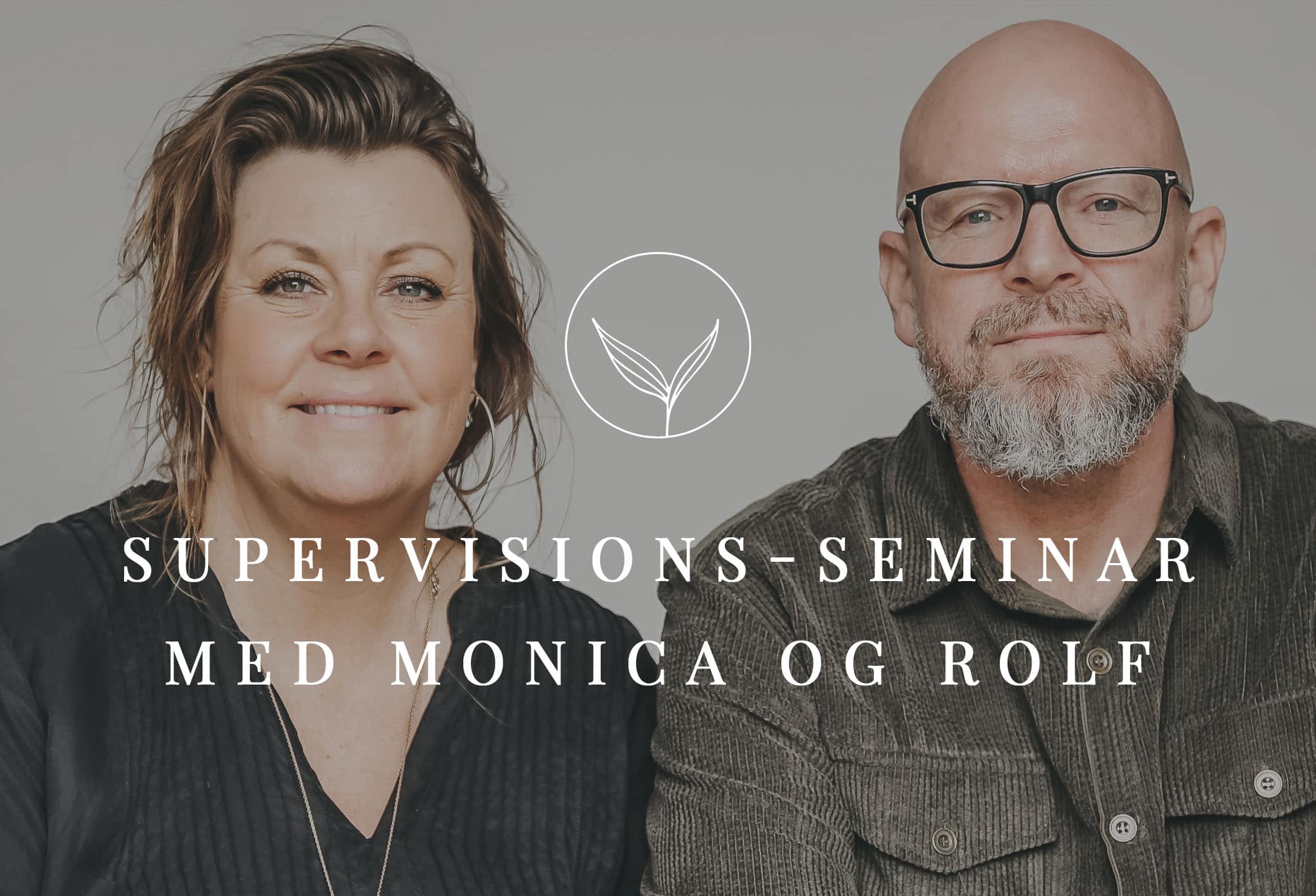 SUPERVISIONS-SEMINA-ROLF-MONICA---
